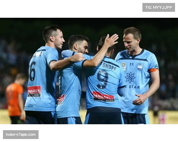 澳超新赛季VAR检查将通过大屏回放 裁判组扩充至13人